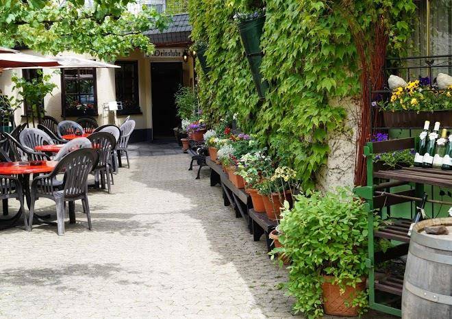 Weingut haxel
