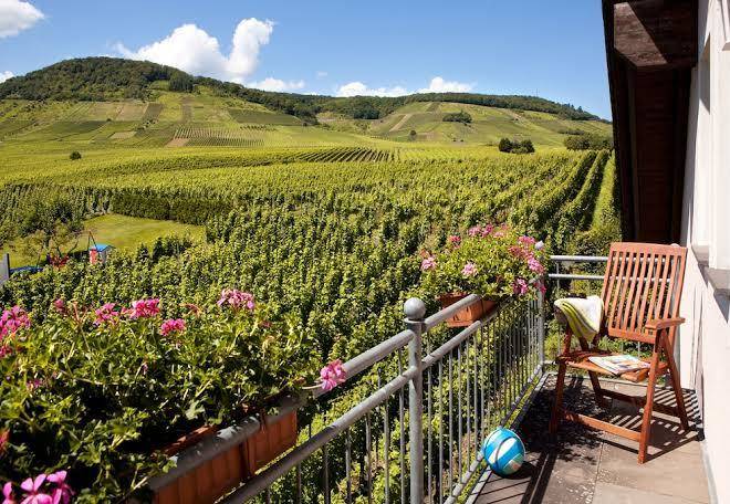 Weingut pies gbr