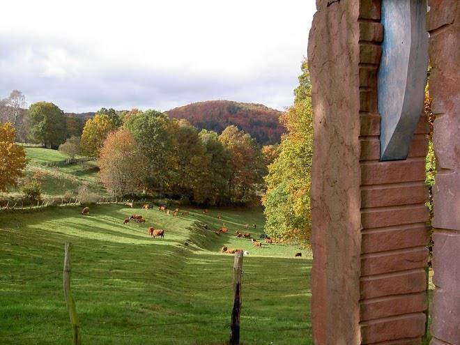 Landgasthof und hotel zum schwan