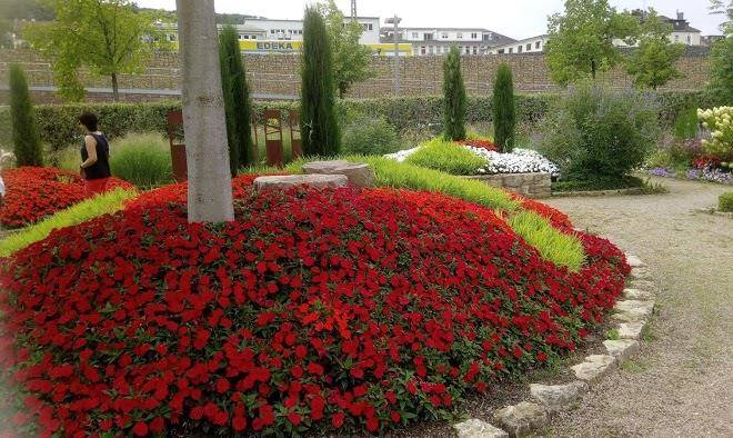 Bingen rhein