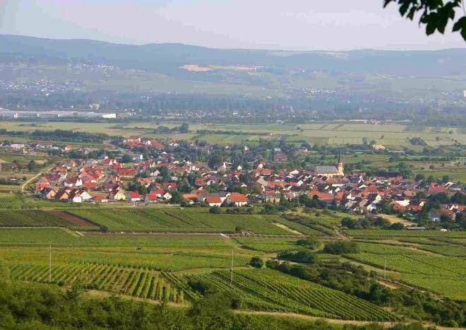 Weingut feser