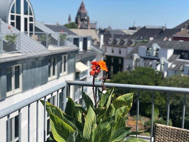 Hilton mainz city