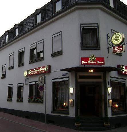 Pension zum dicken baum