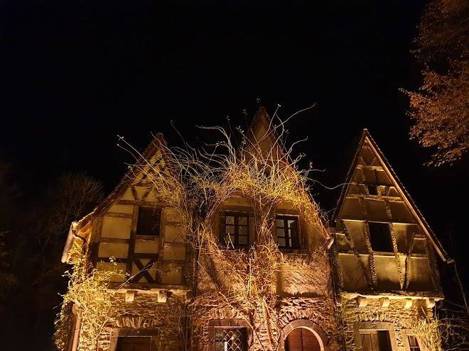 Landhotel horeth im wald