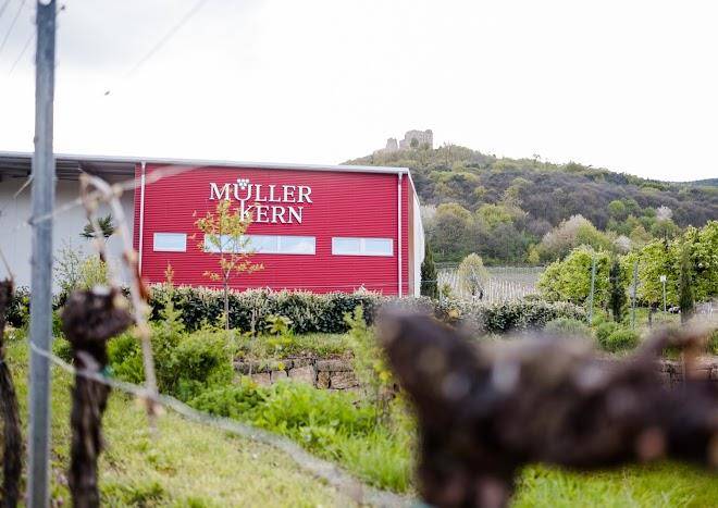 Weingut muller kern