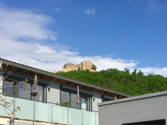 Wein Und Sektgut Rebenhof Image