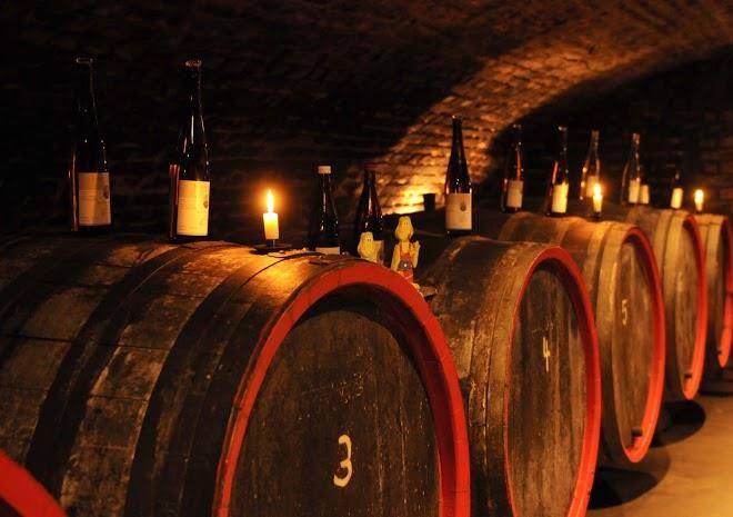 Gasthaus weingut stahl