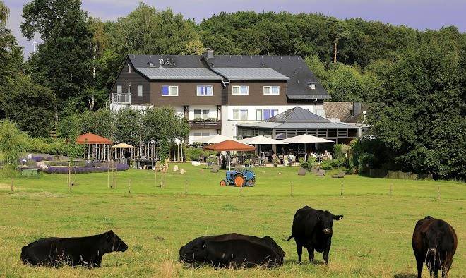 Landidyll hotel restaurant birkenhof