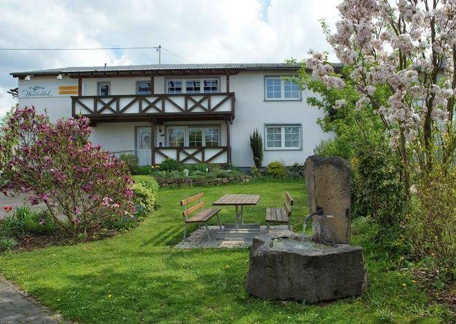 Waldesblick restaurant & hotel