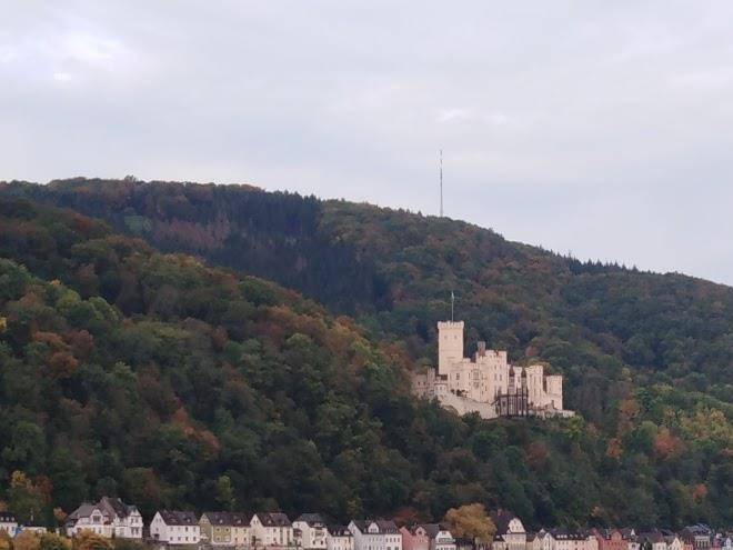 Das nest