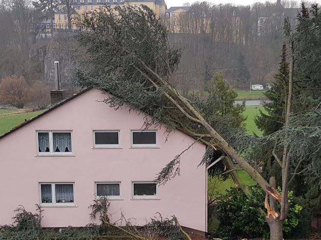 Pension schlossblick