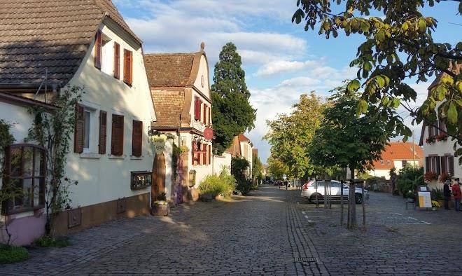 Alter kastanienhof