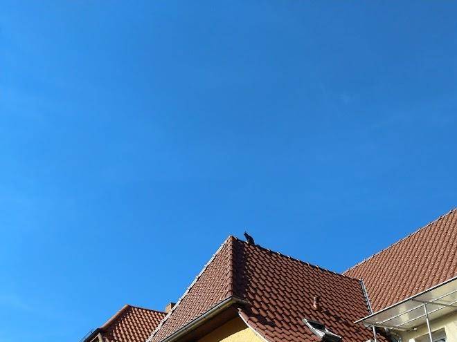 Gastehaus u winzerhof