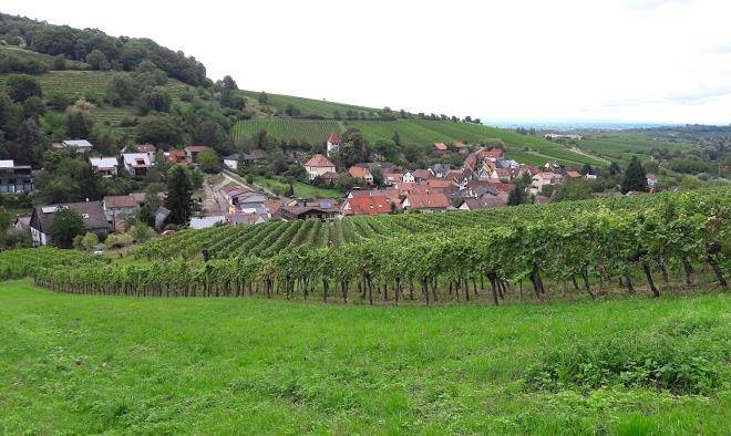 Hotel rebmann