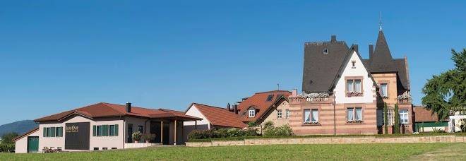 Weingut faubel