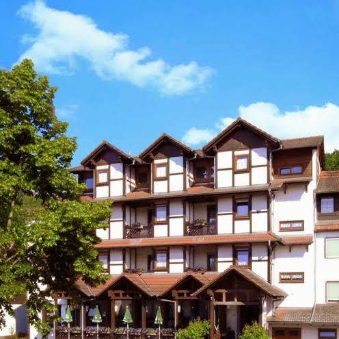 Blick Zum Maimont Ludwigswinkel Image