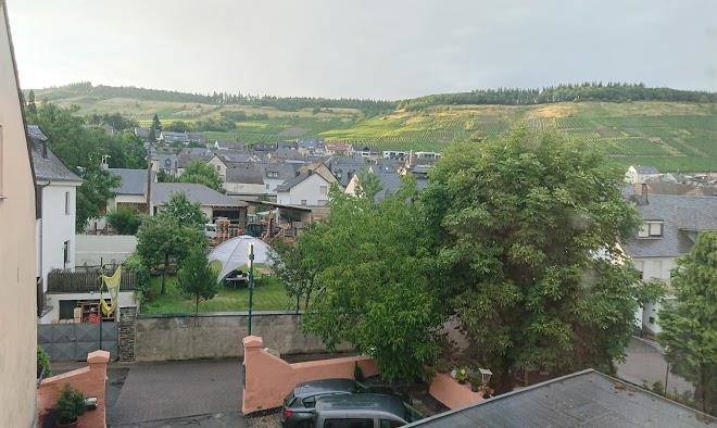 Gasthof zur rebe blees