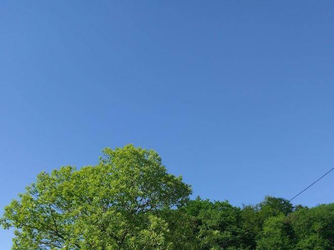 Hotel Haus Jochem Image