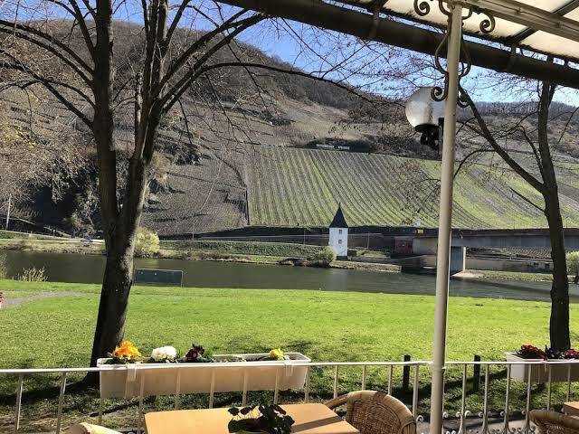 Krone riesling