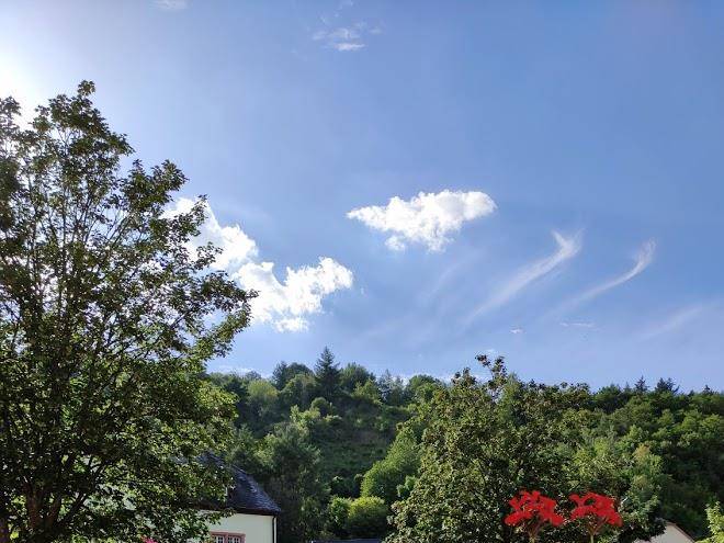 Schnitzel Haus Image