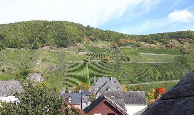 Weingut hans eifel