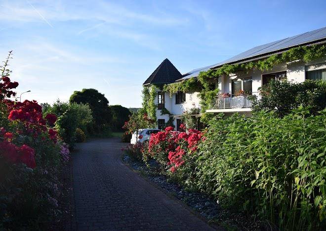 Weingut raevenhof