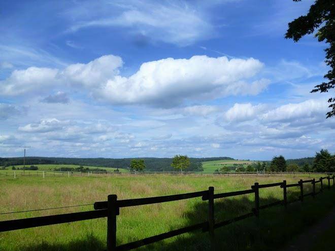Ferienhof vulkaneifel