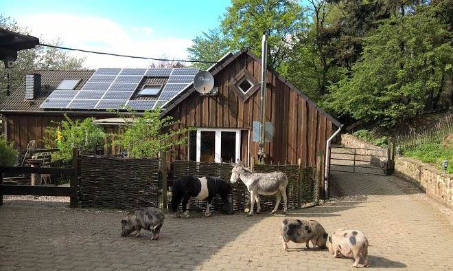 Funny farm
