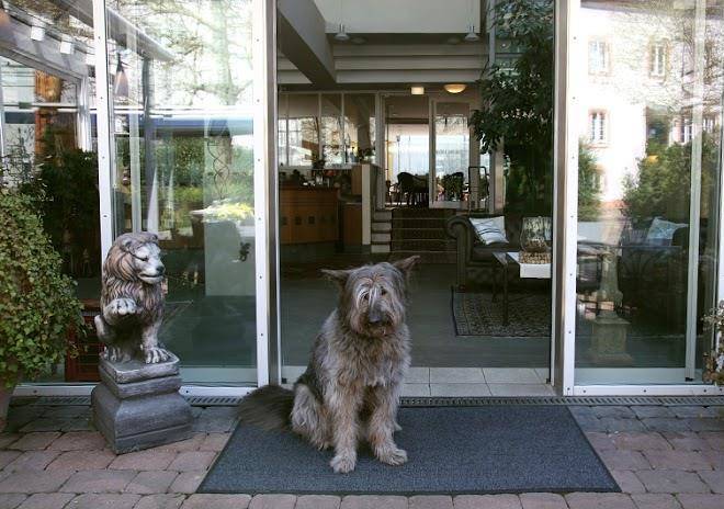 Hotel goldener stern
