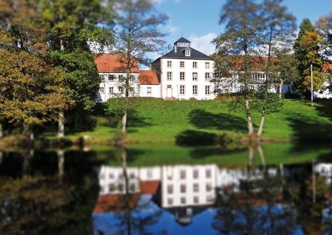 Hofgut imsbach lapointe