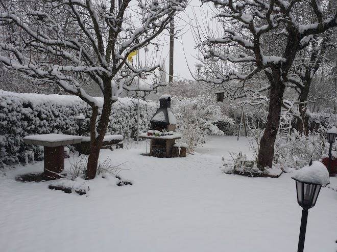 Pension haus am see