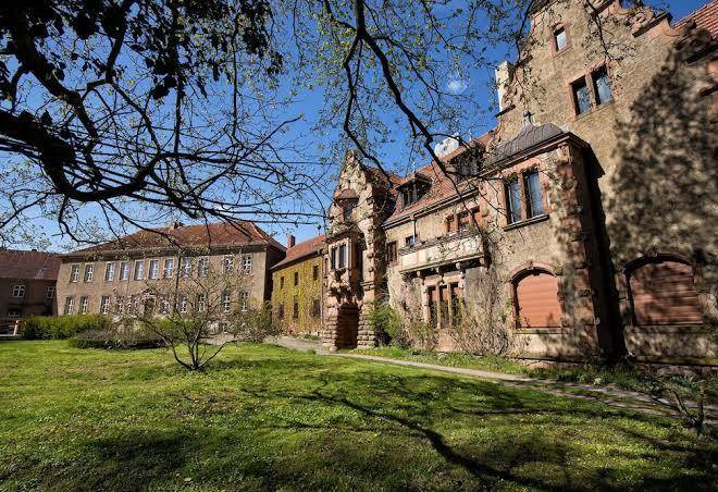 Veltheimsburg castle schloss