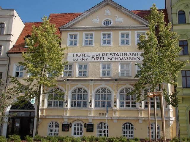 Drei schwane am rathaus
