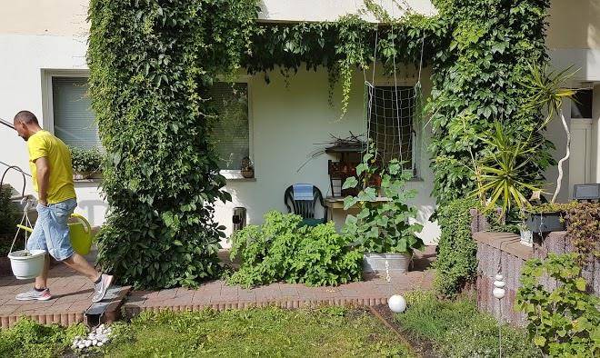 Ferienwohnung falkenberg