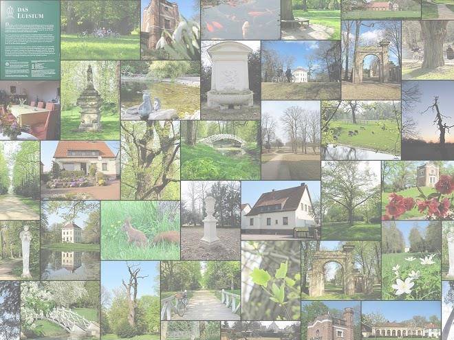 Pension am luisium