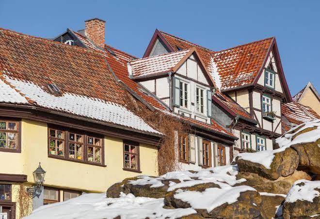 Hotel Waldoase Hirschbuchenkopf Harz Image
