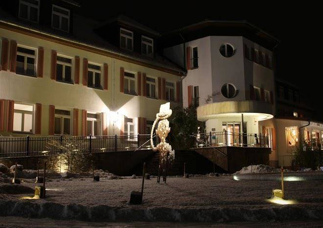 Regiohotel Naturresort Berghotel Ilsenburg Image