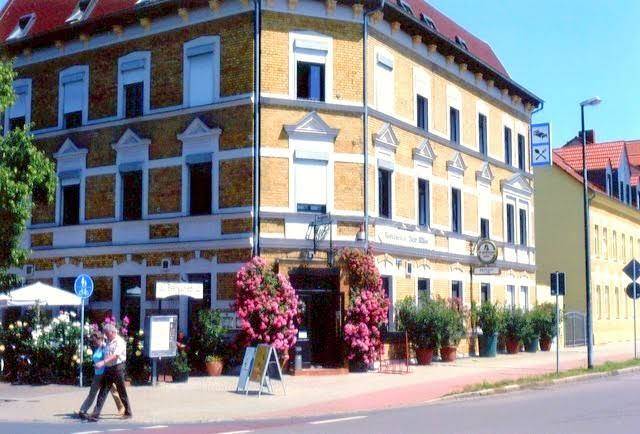 Restaurant & pension zur elbe