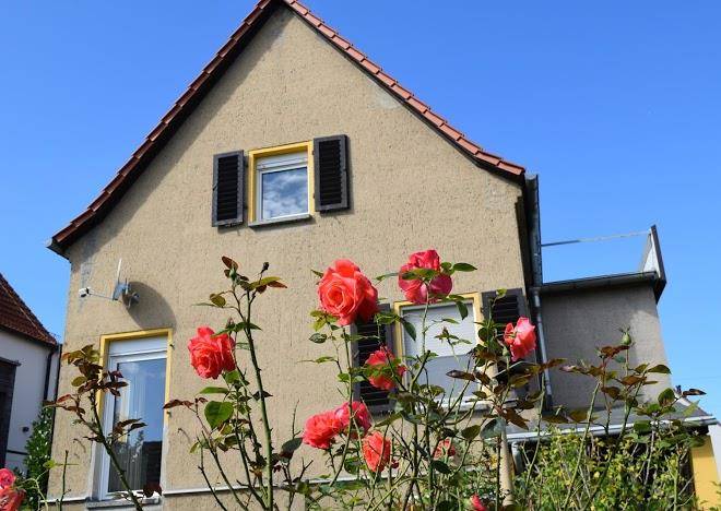Ferienhaus ferienwohnung dresden