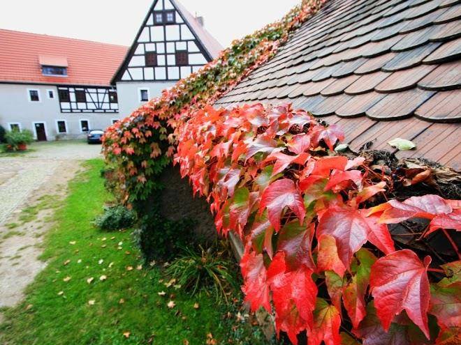Gastehof fehrmann fruhstuckspension