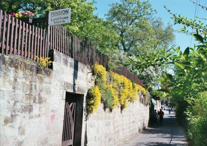 Pension landhaus maria am blauen wunder