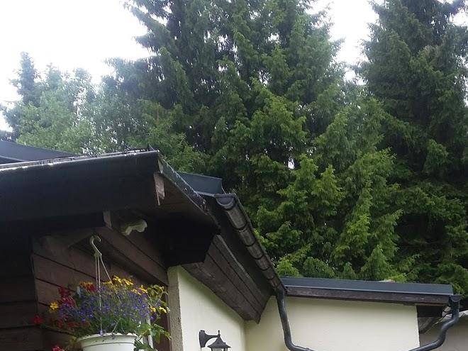 Ferienhaus berghutte