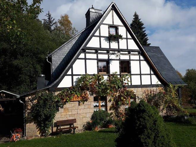 Bergfreund