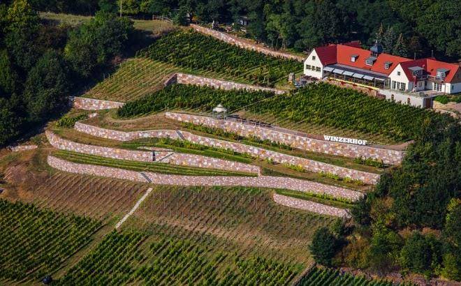 Bella vista winzerhof golk