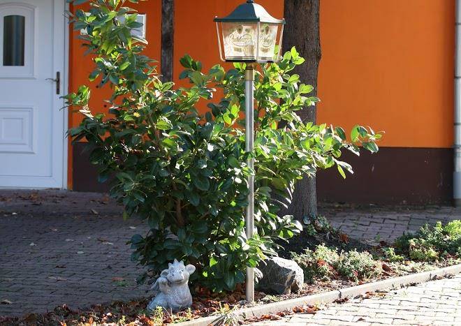 Landhotel Madlen Image