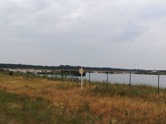 Goldener Stern Image