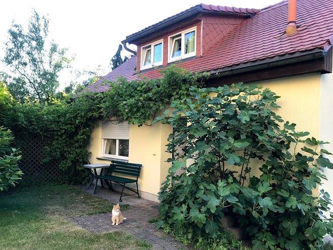 Ferienhaus puttrich sachsische schweiz