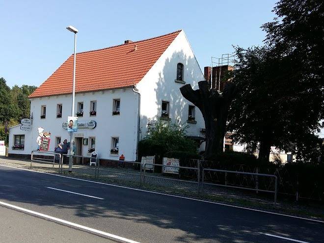 Weise taube