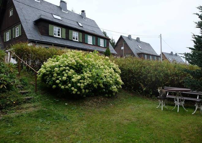 Ferienhaus am wald