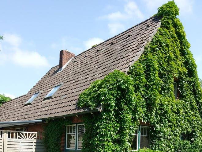 Ferienhof struve